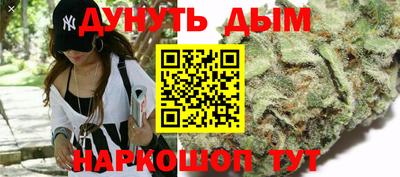 молекула духа Новозыбков