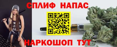 молекула духа Новозыбков
