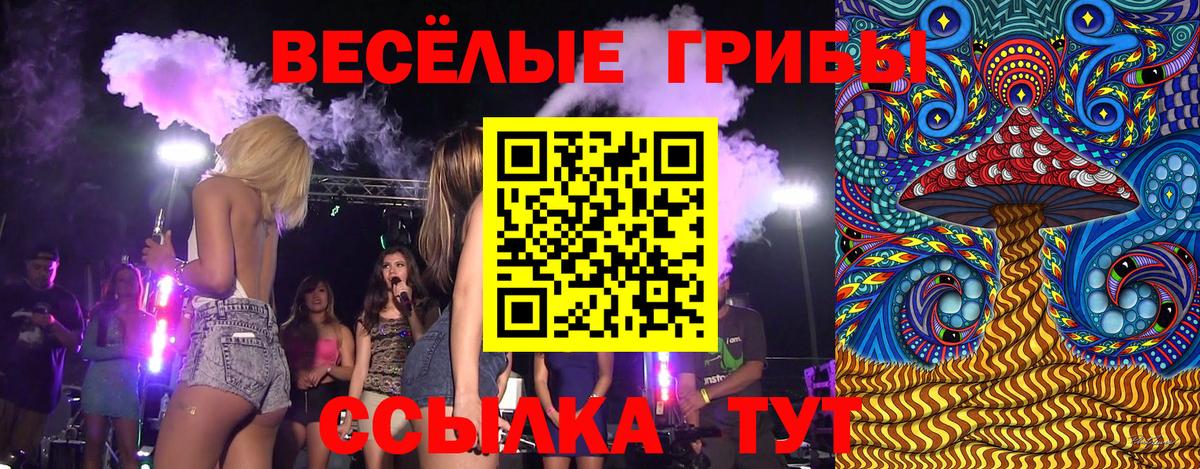 Новокуйбышевск  Псилоцибиновые грибы ЛСД  Вход с VPN 